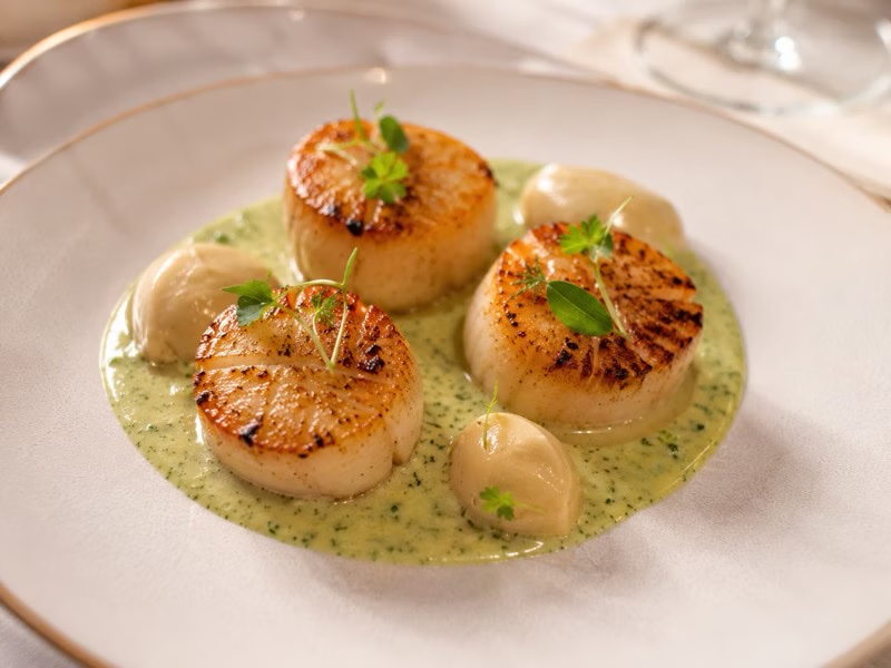 Scallops with parsnip cream and watercress sauce